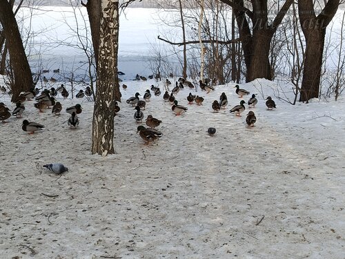 IMG_20260314_092616_857